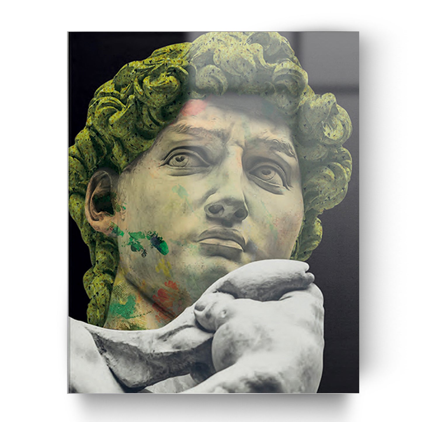Quadro in vetro DAVID