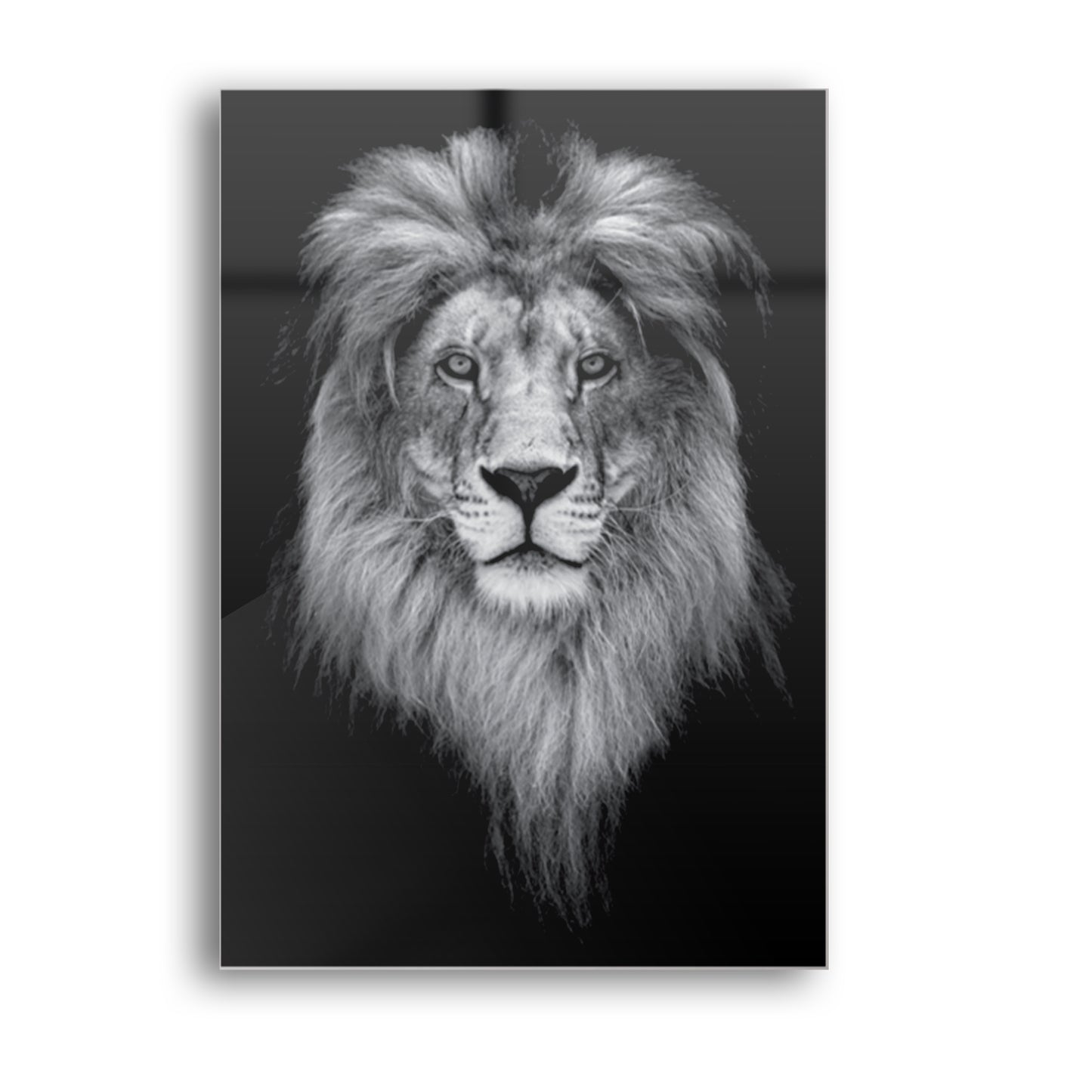 Tableau en verre LION